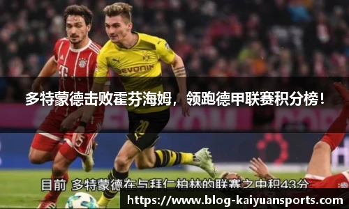 多特蒙德击败霍芬海姆，领跑德甲联赛积分榜！
